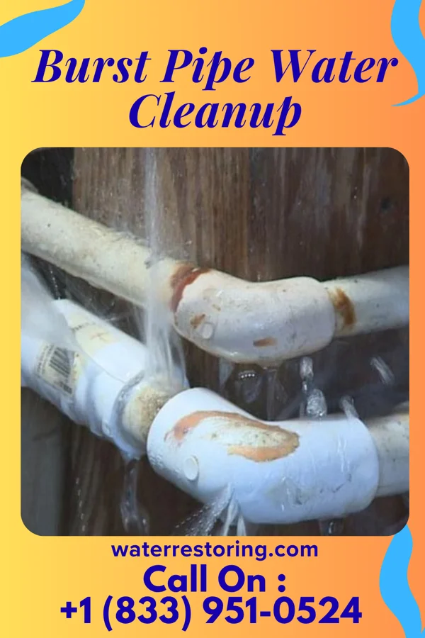 Burst Pipe Water Cleanup in Rouse, CA